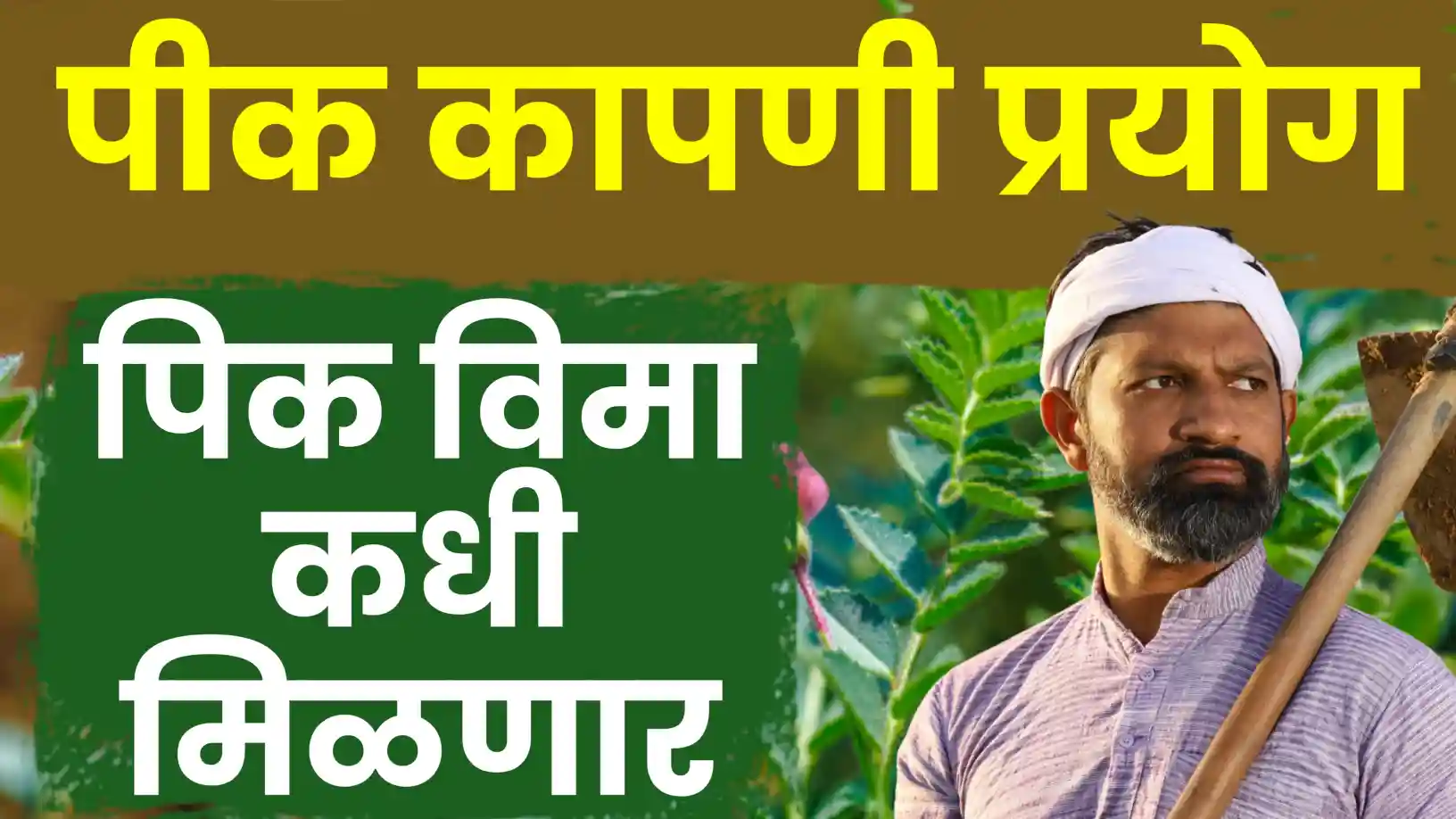 पीक कापणी प्रयोग अंतिम टप्प्यात