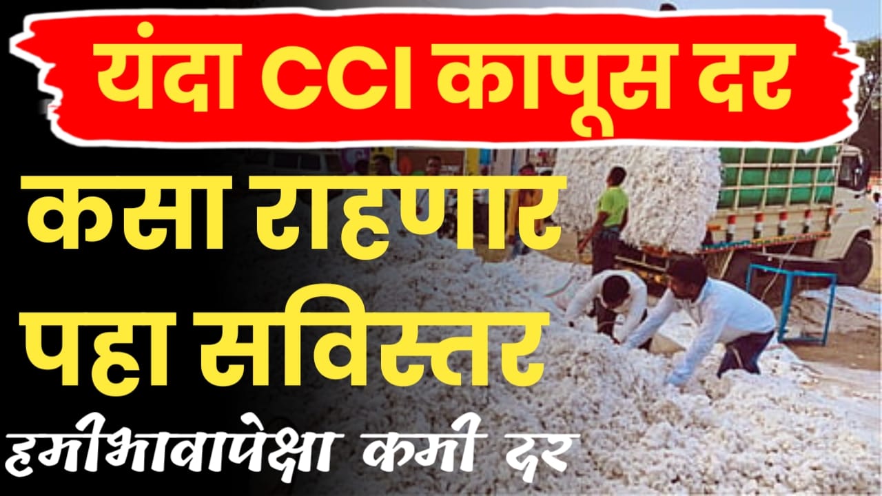 कापूस उत्पादनात घट