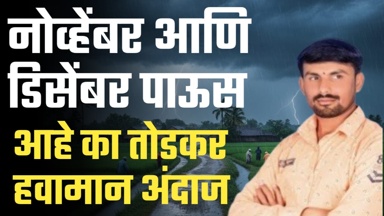 नोव्हेंबरच्या शेवटच्या आठवड्यात