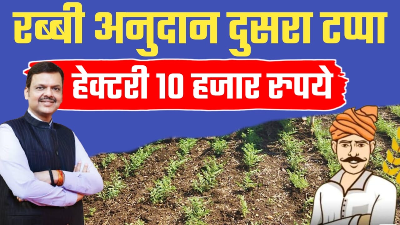 रब्बी अनुदान वाटपाचा दुसरा टप्पा सुरु