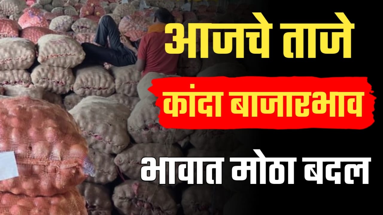 कांद्याने केला शेतकऱ्यांचा वांधा,