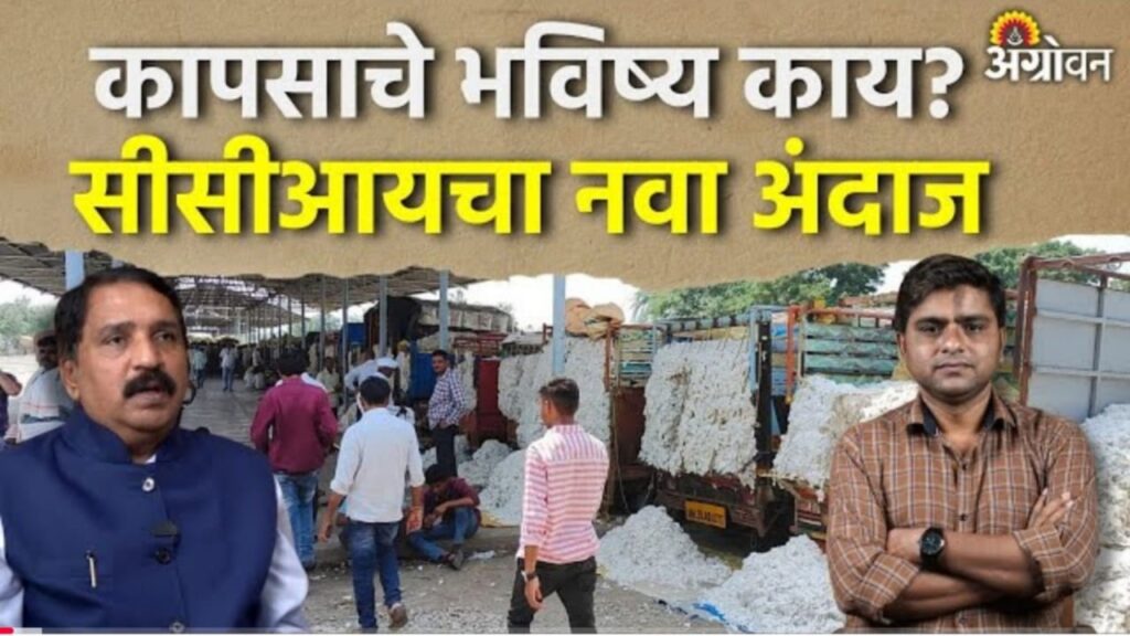 पुढील काळात कापसाचे भविष्य