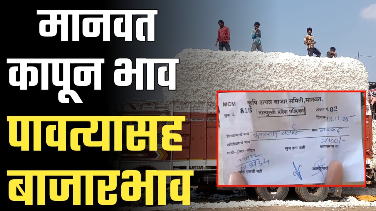 मानवत मधील आजचे कापूसबाजारभाव