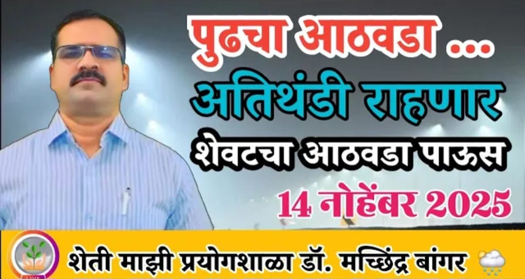 नोव्हेंबरच्या शेवटच्या आठवड्यात पावसाची