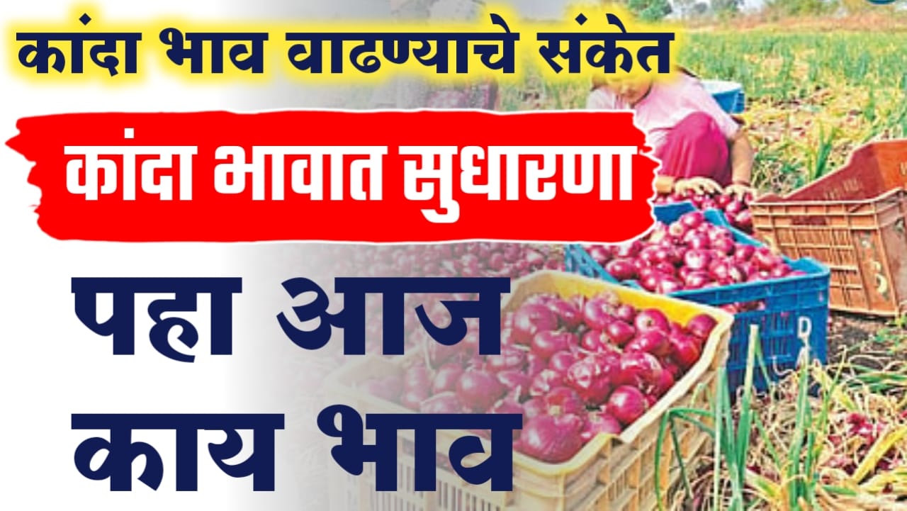 Onion price of Maharashtra