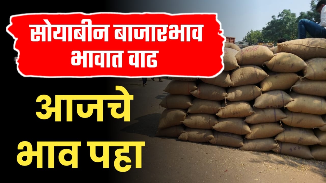 Soyabin rate 18 November