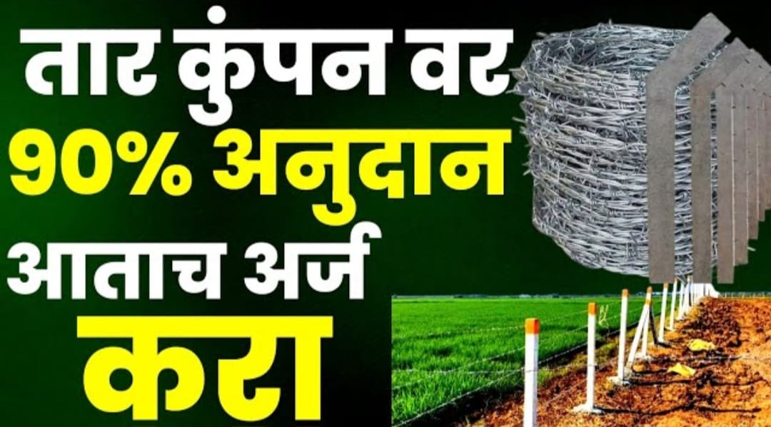 काटेरी तार