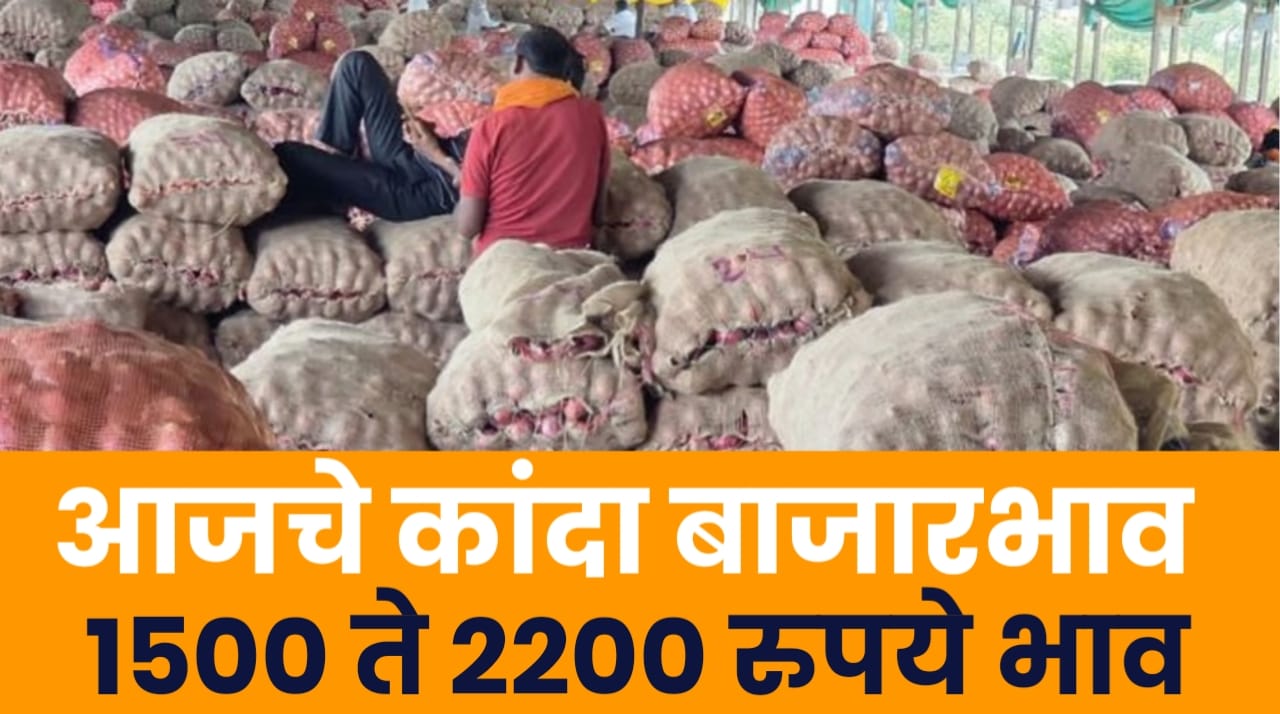 कांदा बाजारभाव महाराष्ट्र