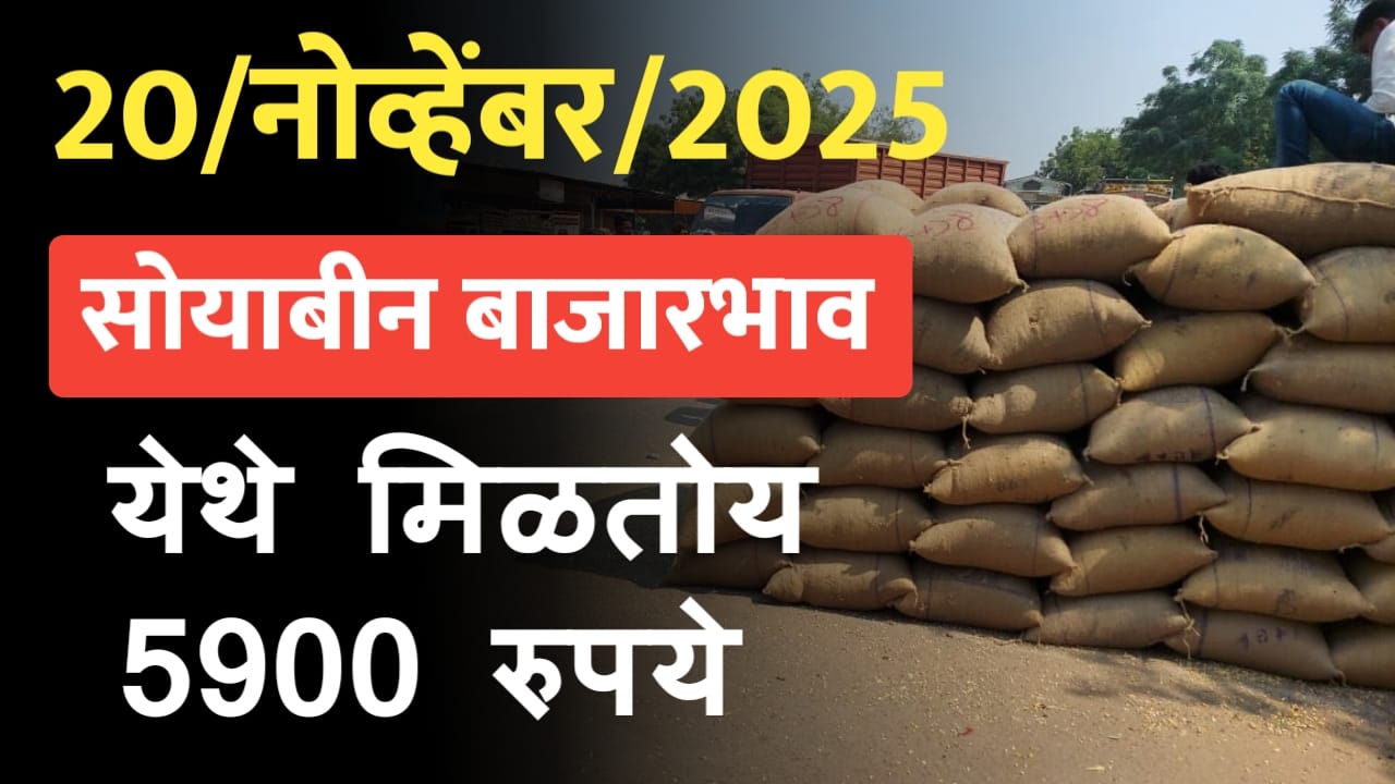 राज्यातील आजचे 20 नोव्हेंबर