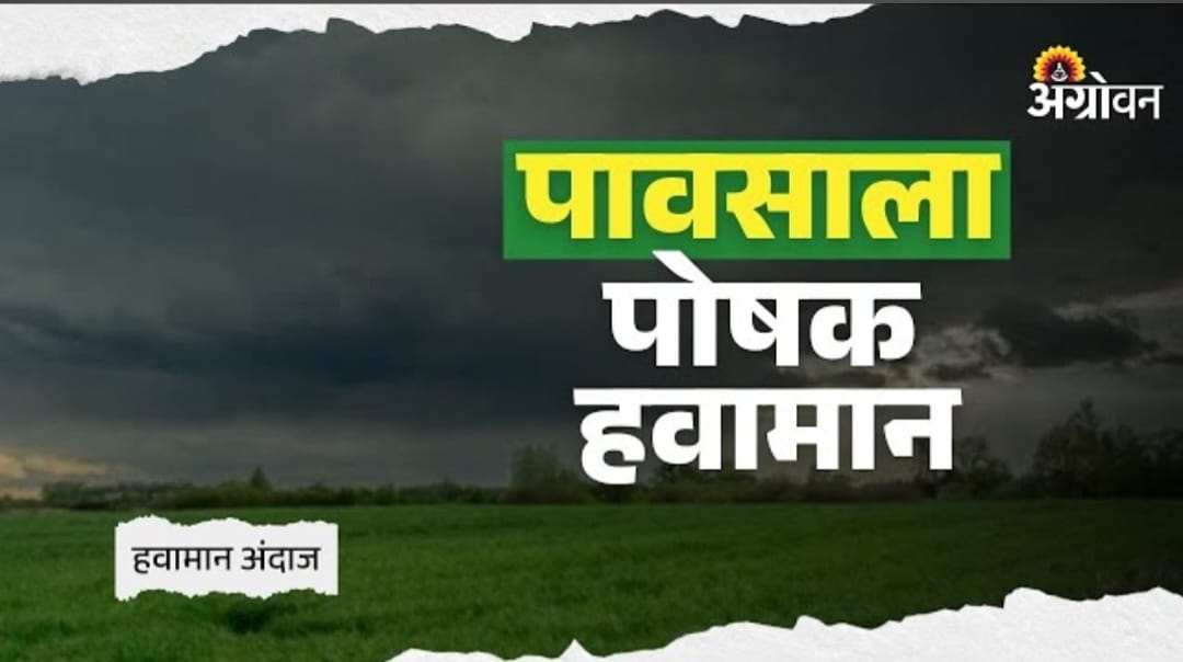 राज्यातील बहुतांशी भागात