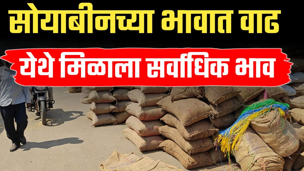 Soyabin rate 22 November