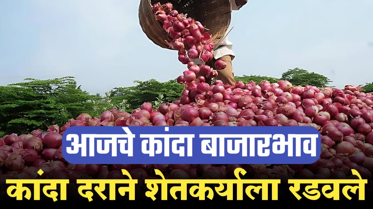 कांद्याने शेतकऱ्यांना
