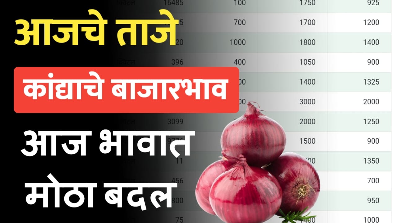 Onion rate 27 November
