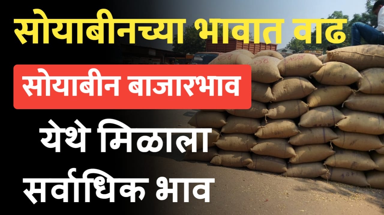 Soyabin rate 27 November